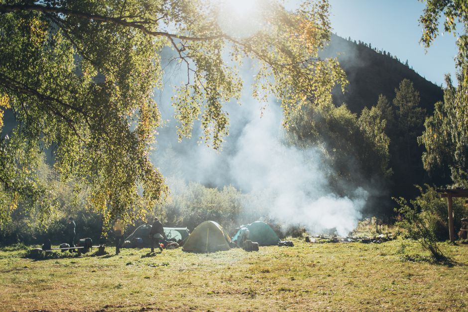 ファミリーキャンプ入門｜初心者向け道具選びと楽しみ方